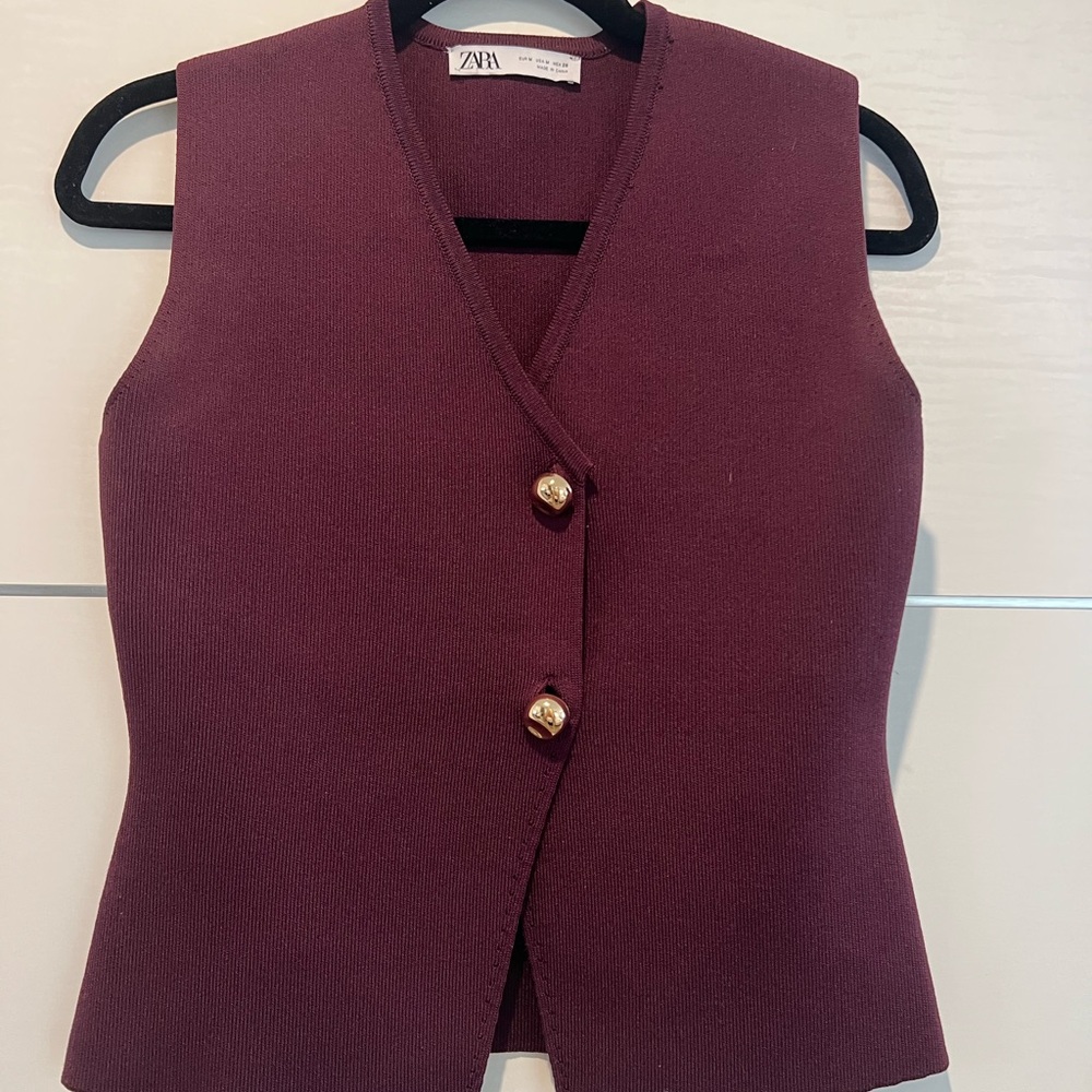 Zara Burgundy Knit Sweater